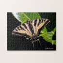 Search for butterfly puzzles Swallowtail
