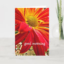 Search for good morning cards Nature