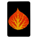 Search for fall leaf magnets Yellow