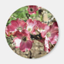 Search for circle photo magnets Floral