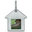 Search for butterfly pet tags Butterflies