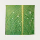 Search for photosynthesis posters Nature