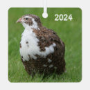 Search for quail ornaments Animal