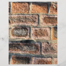 Search for the brick flyers Bricks