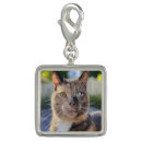Search for cat charms Pet