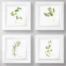 Search for 6x6 posters Green