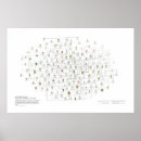 Search for botanical illustration posters Flowers
