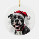 Search for pitbull ornaments Watercolor
