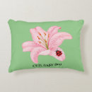 Search for ladybug pillows Watercolor
