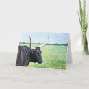 Search for black angus Ranch