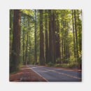 Search for california magnets Nature