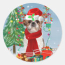 Search for shih tzu stickers Animal