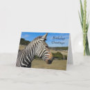 Search for zebra birthday cards Stripes