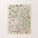 Search for tree of life puzzles Animals