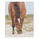 Search for outer banks puzzles Superstock