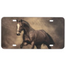 Search for horse license plates Stallion
