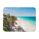 Search for tulum magnets Palm tree