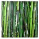 Search for bamboo tiles Asian