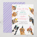 Search for papillon dog Pink