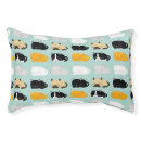 Search for cat beds Cats