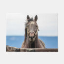 Search for horse doormats Stallion