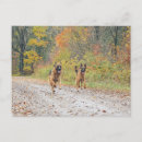 Search for german shepherd postcards Police dog