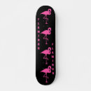 Search for flamingo skateboards Summer