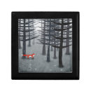 Search for squirrel gifts Animal