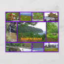 Search for road to hana Travel