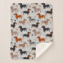 Search for paws blankets gray