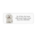 Search for dog return address labels Pup