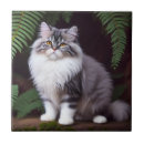 Search for persian tiles White