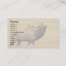 Search for elk business cards Animals