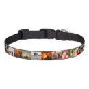 Search for photo dog collars For pets