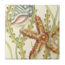 Search for starfish tiles Seashell