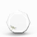 Search for butterfly awards Moth