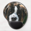 Search for saint bernard gifts Animals