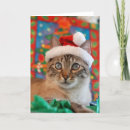 Search for siamese cat christmas cards Santa