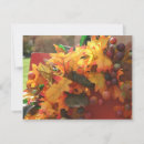 Search for thanksgiving rsvp cards Fall