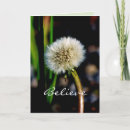 Search for dandelion make a wish cards Believe