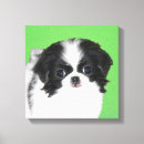 Search for japanese chin gifts Spaniel