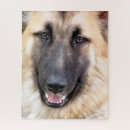 Search for german shepherd puzzles Cute dogs