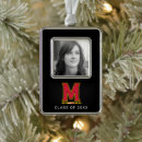 Search for maryland ornaments Testudo