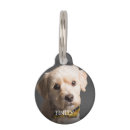 Search for pet tags Cute