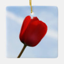 Search for tulip ornaments Red