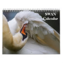 Search for swans swan calendars 2027