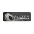Search for funny return address labels Animals