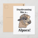 Search for alpaca postcards Humor