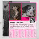 Search for sale posters Puppy