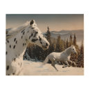 Search for winter wonderland gifts Mountain